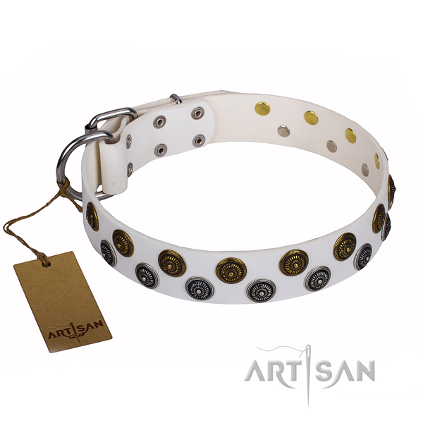 Everyday use dog collar of durable full grain genuine leather with embellishments