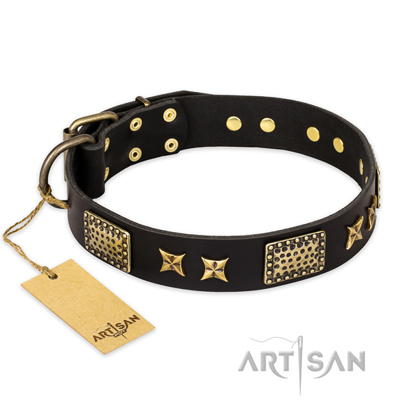 Fashionable leather dog collar with rust resistant fittings