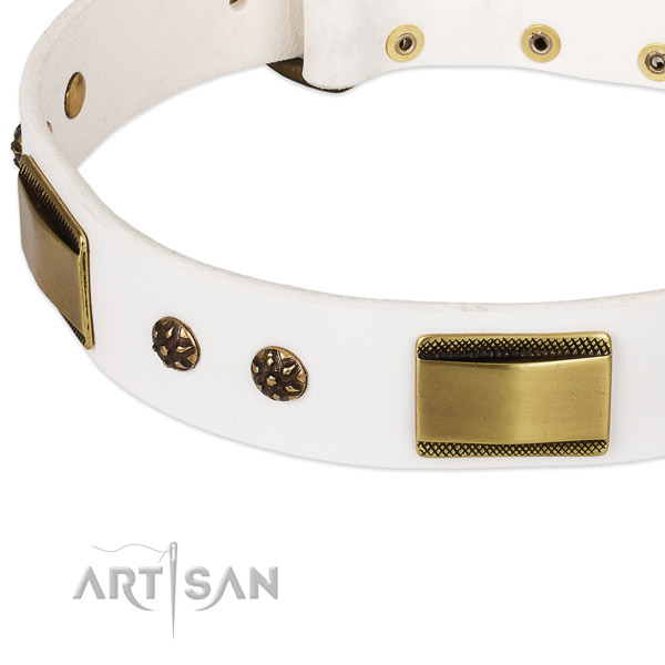 Durable studs on full grain leather dog collar for your four-legged friend