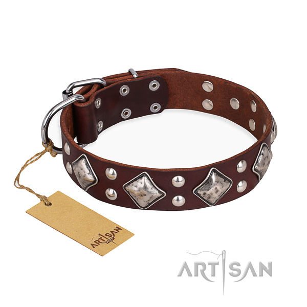 Fancy walking easy wearing dog collar with durable D-ring