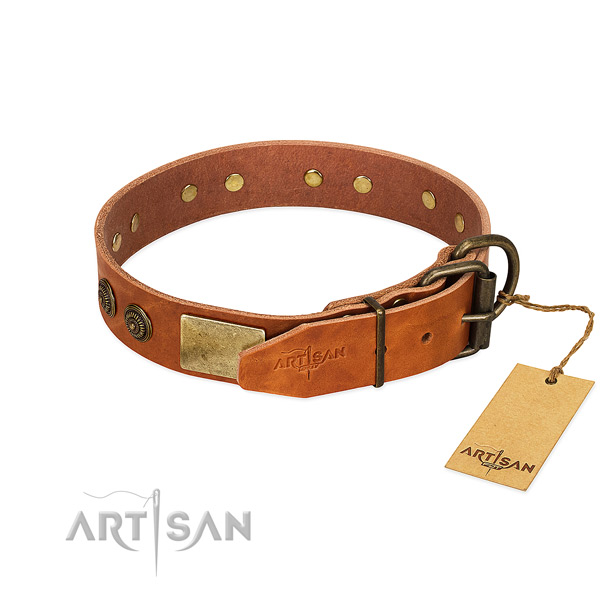 Reliable hardware on full grain genuine leather collar for walking your canine