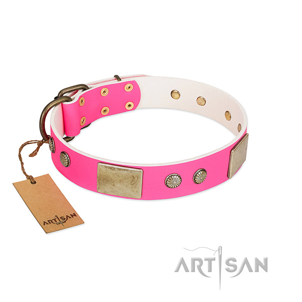 Easy adjustable genuine leather dog collar for everyday walking your doggie