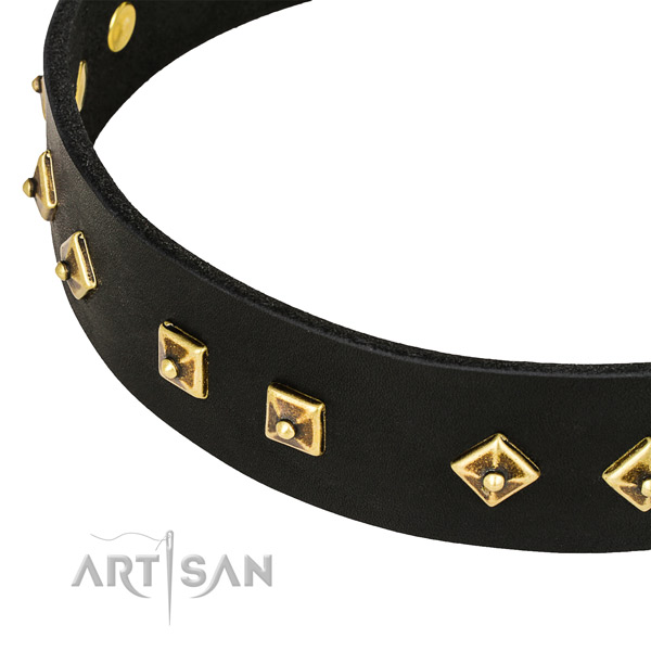 Decorated full grain natural leather collar for your impressive pet