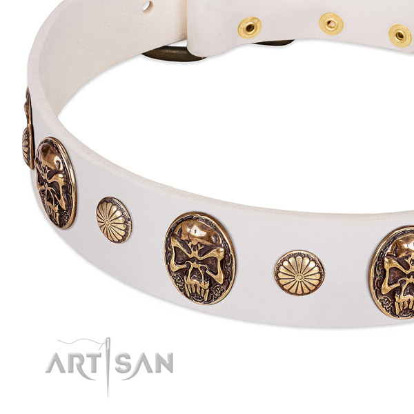 Rust resistant adornments on natural genuine leather dog collar for your dog