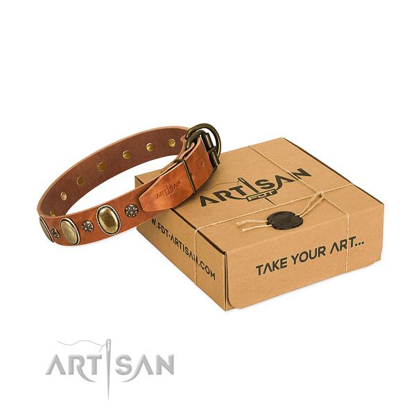 Everyday walking top rate genuine leather dog collar with embellishments