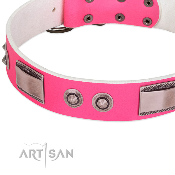 Remarkable leather collar with decorations for your dog