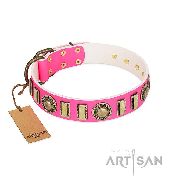 Comfortable full grain natural leather dog collar with reliable fittings
