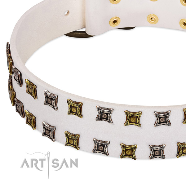 Leather dog collar with adornments for your impressive pet