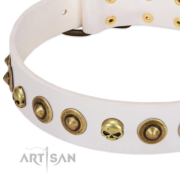 Awesome adornments on leather collar for your four-legged friend