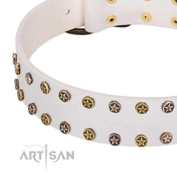 Designer embellishments on leather collar for your doggie