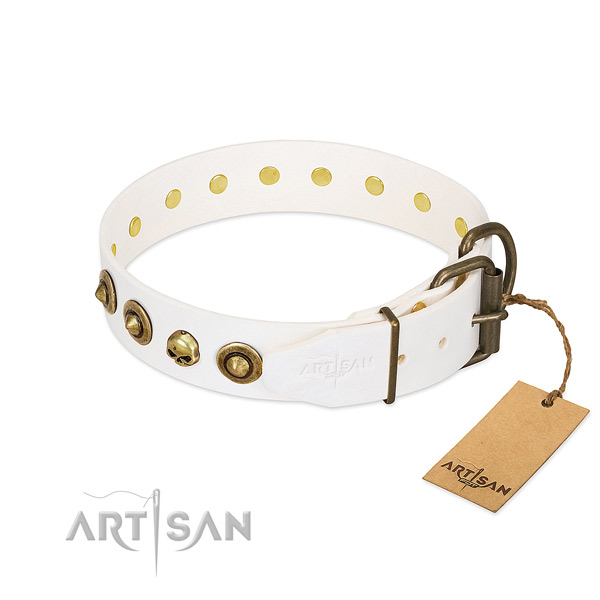 Genuine leather collar with unique embellishments for your dog
