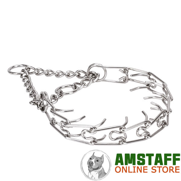 Rust proof stainless steel pinch collar for poorly behaved dogs