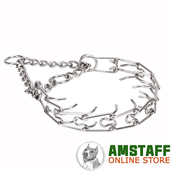 Pinch collar of stainless steel for badly behaved pets