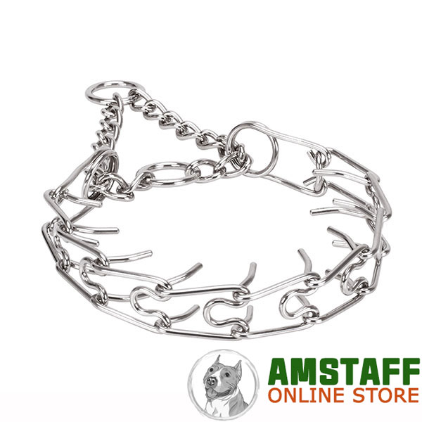 Rust proof dog pinch collar with stainless steel removable links