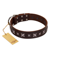 "Stellar Fairy " FDT Artisan Brown Leather Amstaff Collar with Chrome-plated Star-like Decorations