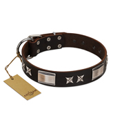 "Satin Beauts" FDT Artisan Brown Leather Amstaff Collar with Stars and Plates