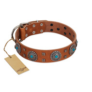 "Blue Sands" FDT Artisan Tan Leather Amstaff Collar with Silver-like Studs and Round Conchos with Stones