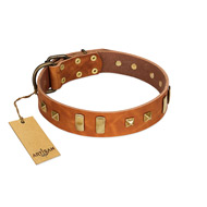 "Sand of Time" FDT Artisan Tan Leather Amstaff Collar with Old Bronze-like Studs and Plates