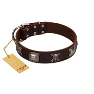 "Nut-Brown Finery" Embellished FDT Artisan Brown Leather Amstaff Collar with Chrome Plated Crossbones and Plates
