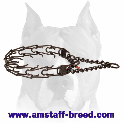 Black Dog Prong Collar Made of Stainless Steel