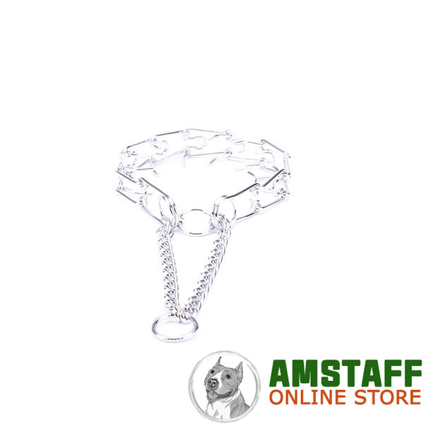 Dog prong collar chrome plated for aggressive canines