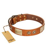 "Perfect Blend" FDT Artisan Tan Leather Amstaff Collar 1 1/2 inch (40 mm) wide