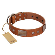 "Great Obelisk" Handcrafted FDT Artisan Tan Leather Amstaff Collar with Large Plates and Pyramids