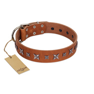 "Star Shine" Exclusive FDT Artisan Tan Leather Amstaff Collar with Silver-Like Adornments