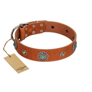 "Marine Antiques" Handmade FDT Artisan Tan Leather Amstaff Collar with Blue Stones