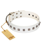 "True Grace" Premium Quality FDT Artisan White Designer Leather Amstaff Collar  "True Grace" Premium Quality FDT Artisan White Designer Leather Amstaff Collar