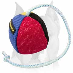 Training French linen ball for Amstaff breed