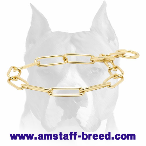 Strong Dog Collar for Amstaff