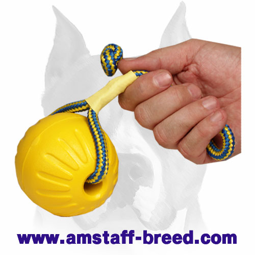 Amstaff training ball made of foam with durable cord