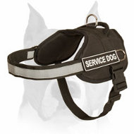 Reflective Nylon Dog Harness for Amstaff