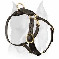 AMSTAFF Leather Dog Harness for Walking and Tracking