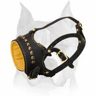 Trendy Nappa Leather Padded Muzzle with Studs for Amstaff Trendy Nappa Leather Padded Muzzle with Studs for Amstaff