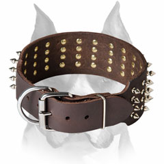 Leather dog collar with nickel-plated buckle and D-ring for Amstaff