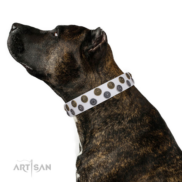 Walking adorned dog collar of fine quality material