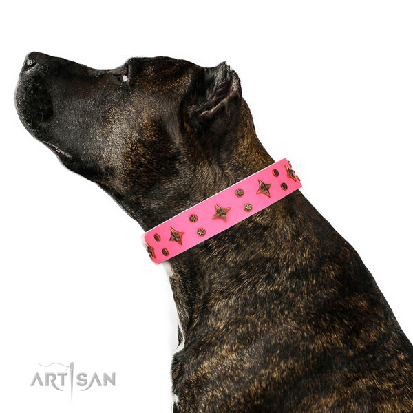 Handy use decorated dog collar of high quality material