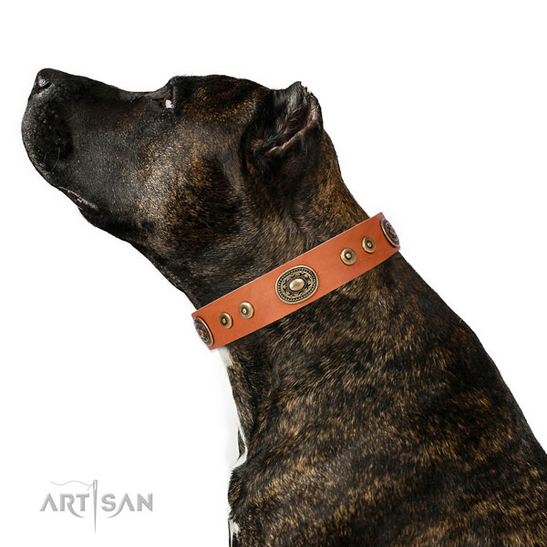 Stylish design decorated genuine leather dog collar for walking