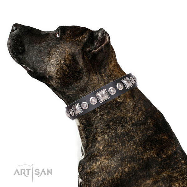 Trendy studded natural leather dog collar for easy wearing