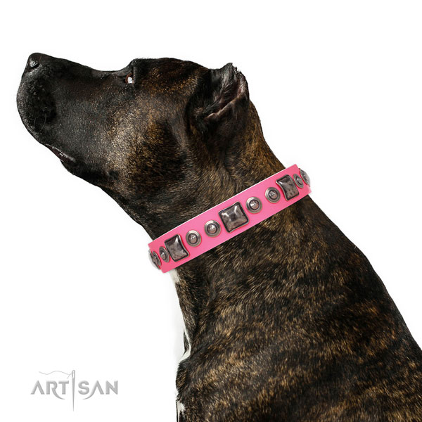 Stylish adorned genuine leather dog collar