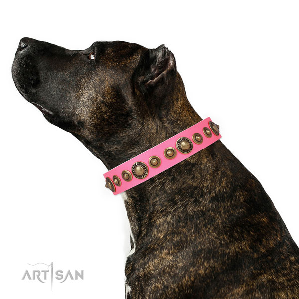 Rust-proof buckle and D-ring on genuine leather dog collar for walking