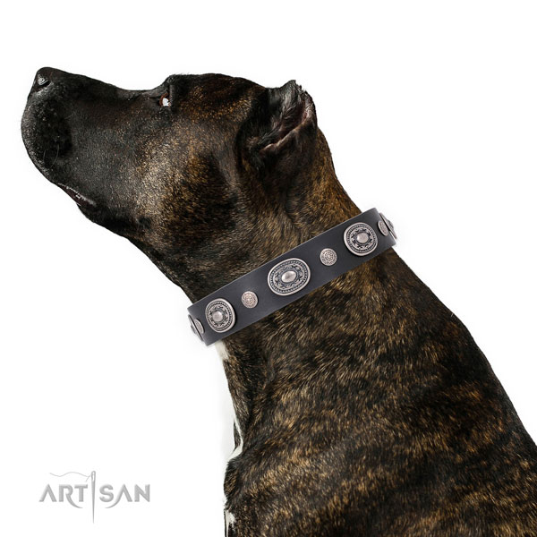 Corrosion resistant buckle and D-ring on natural leather dog collar for stylish walks