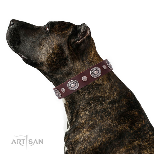 Reliable buckle and D-ring on full grain leather dog collar for stylish walking