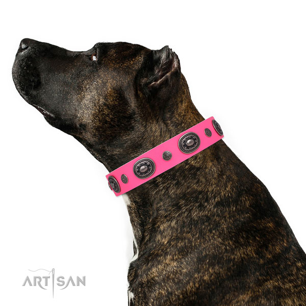 Natural leather dog collar with rust-proof buckle and D-ring for stylish walking