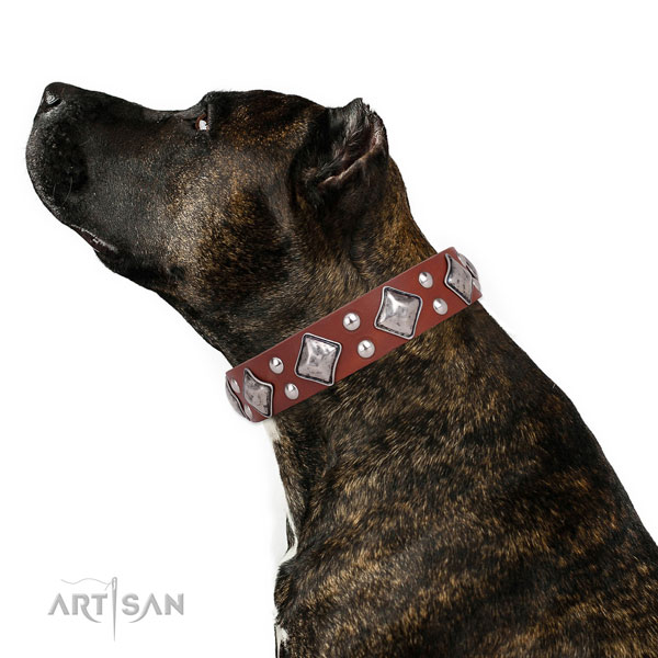 Easy wearing embellished dog collar made of top notch genuine leather