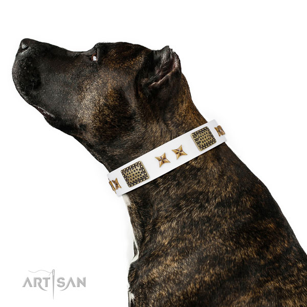 Unique decorations on stylish walking full grain genuine leather dog collar