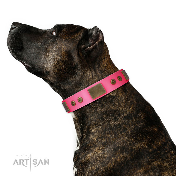Awesome full grain genuine leather collar for your stylish dog
