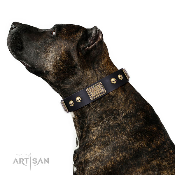 Corrosion resistant fittings on leather dog collar for daily use